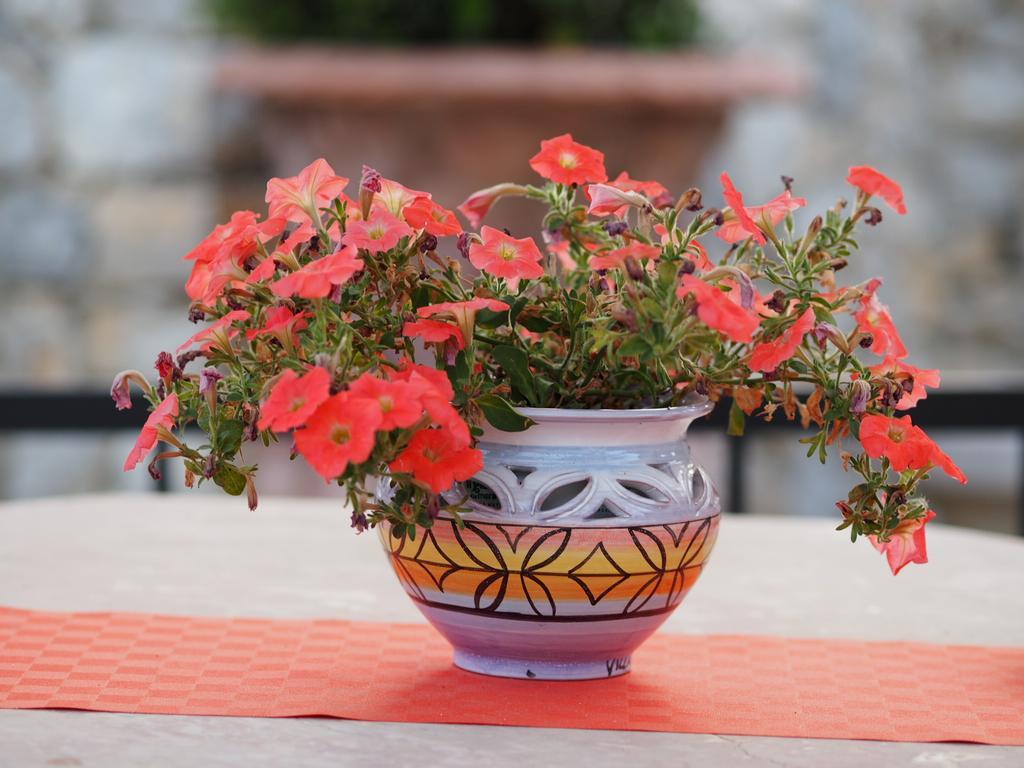Al Giardino Bed & Breakfast *